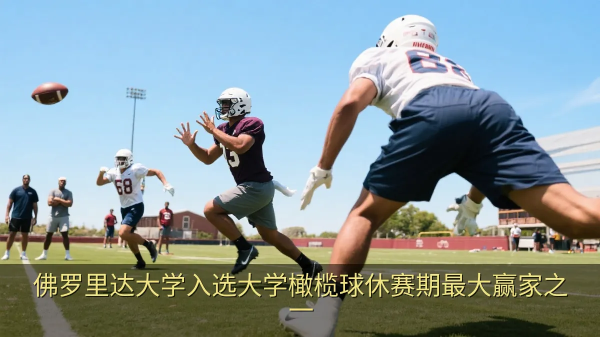 佛罗里达大学入选大学橄榄球休赛期最大赢家之一